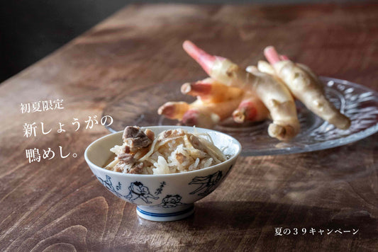 夏の鴨めし始まりました。