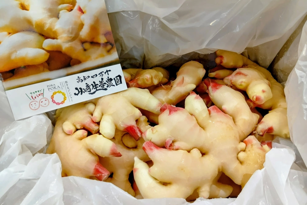 新生姜