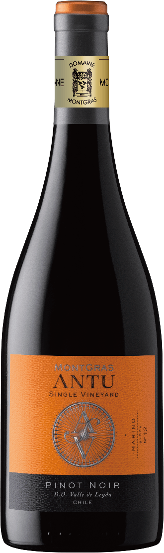 ［赤ワイン］"アンテュ"　ピノ・ノワール　レイダ・ヴァレイ　アマラル　2020　／　ドメーヌ・デ・グラス（モント・グラス）
