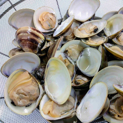 天然はまぐり（マルタカ水産）