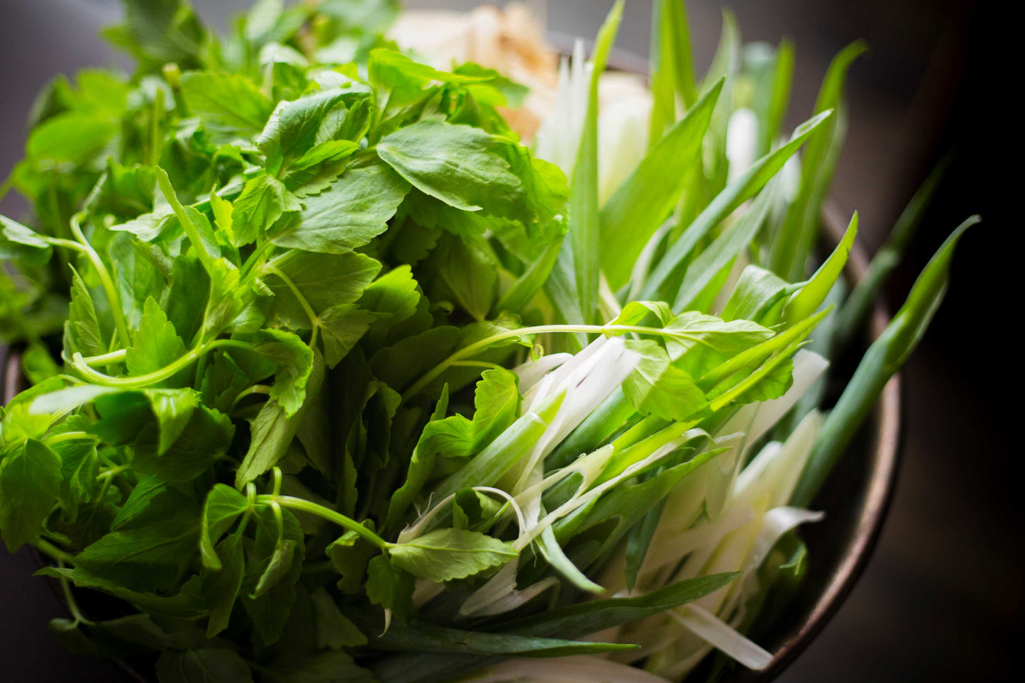 鴨鍋に合う野菜はねぎ、セリ、ごぼうです。